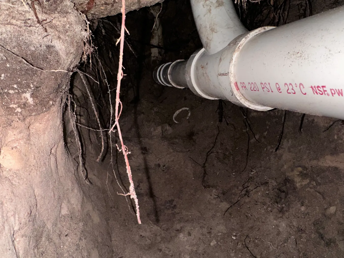 New white PVC sewer line with a cleanout fitting laid in an open trench